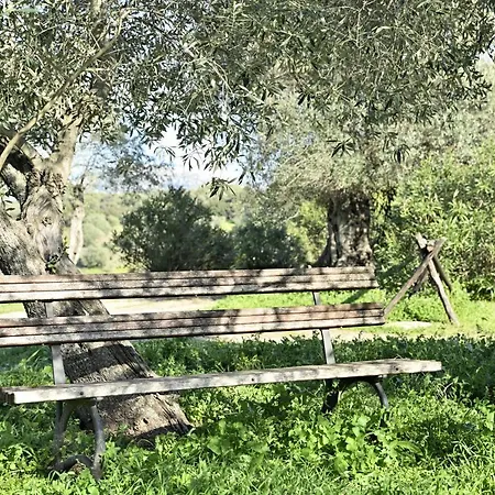 Naramanue 1 * Dorgali