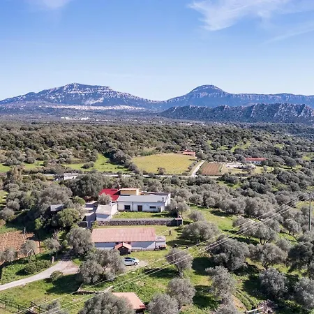 Apartmán Naramanue 1 *