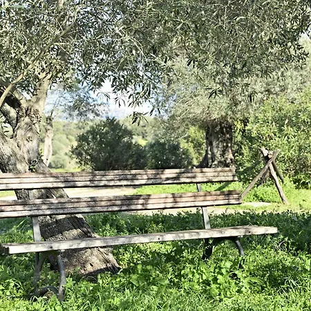 Naramanue 1 Dorgali
